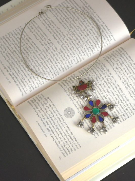 Alisha Afghani Hasli